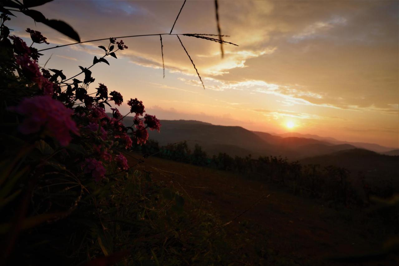 Peakaavu Cottages Ідуккі Екстер'єр фото